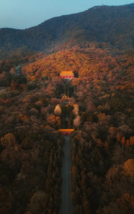 橙红与金黄色树木铺满山坡,林间建筑沿一条中轴在远近之间展开。