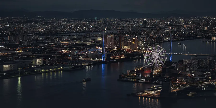 明亮摩天轮立在夜色水岸,桥梁与楼宇灯光倒映在深色水面。